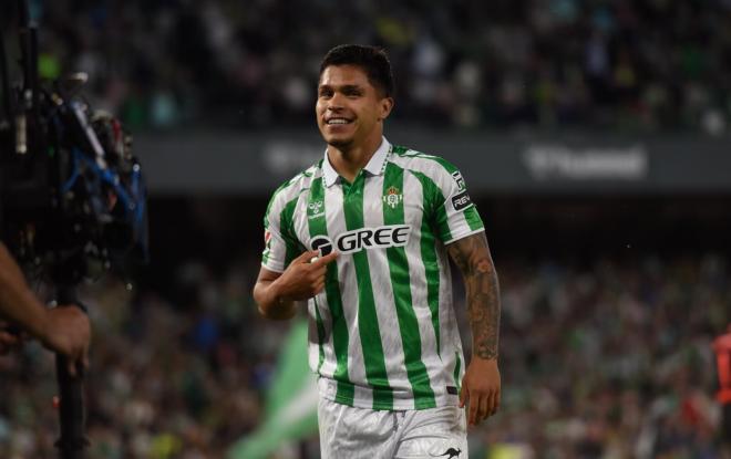 Hernández De Osasuna: 