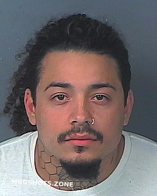 Hernando County Arrest Mugshots: Your Guide To Public Records