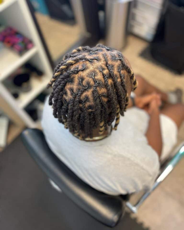 High Top Dread Braids: Styles, Maintenance, And Inspiration