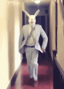 Hilarious Dirty Easter Bunny GIFs: The Funniest Finds Online