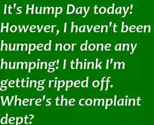 Hilarious Hump Day Quotes To Brighten Your Wednesday