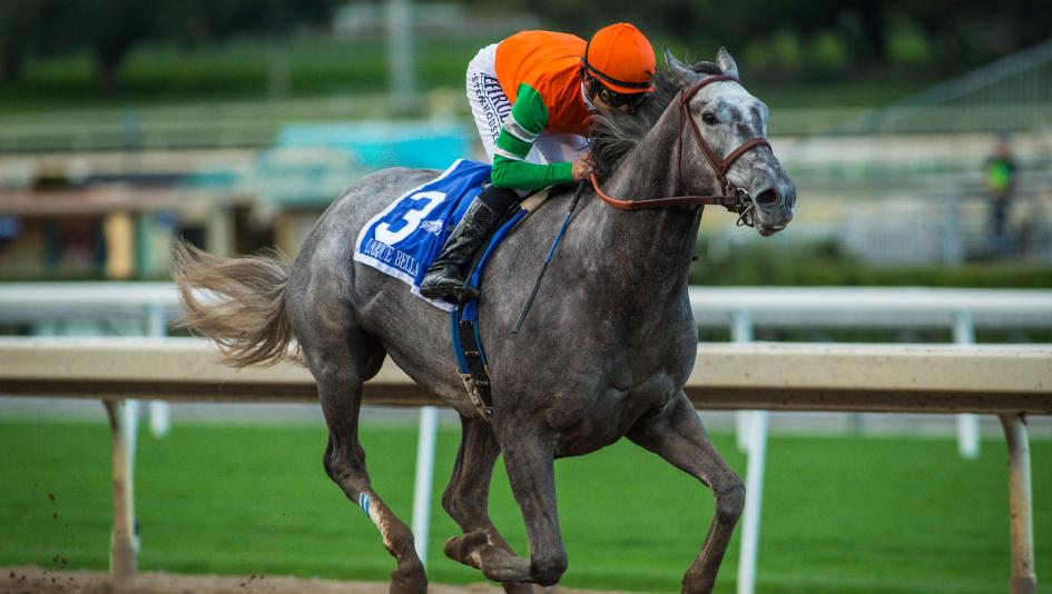 Horse Racing Nation: Today's Entries & Top Contenders