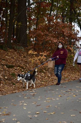 Humane Society Of Nashua, NH:  Helping Animals In Need