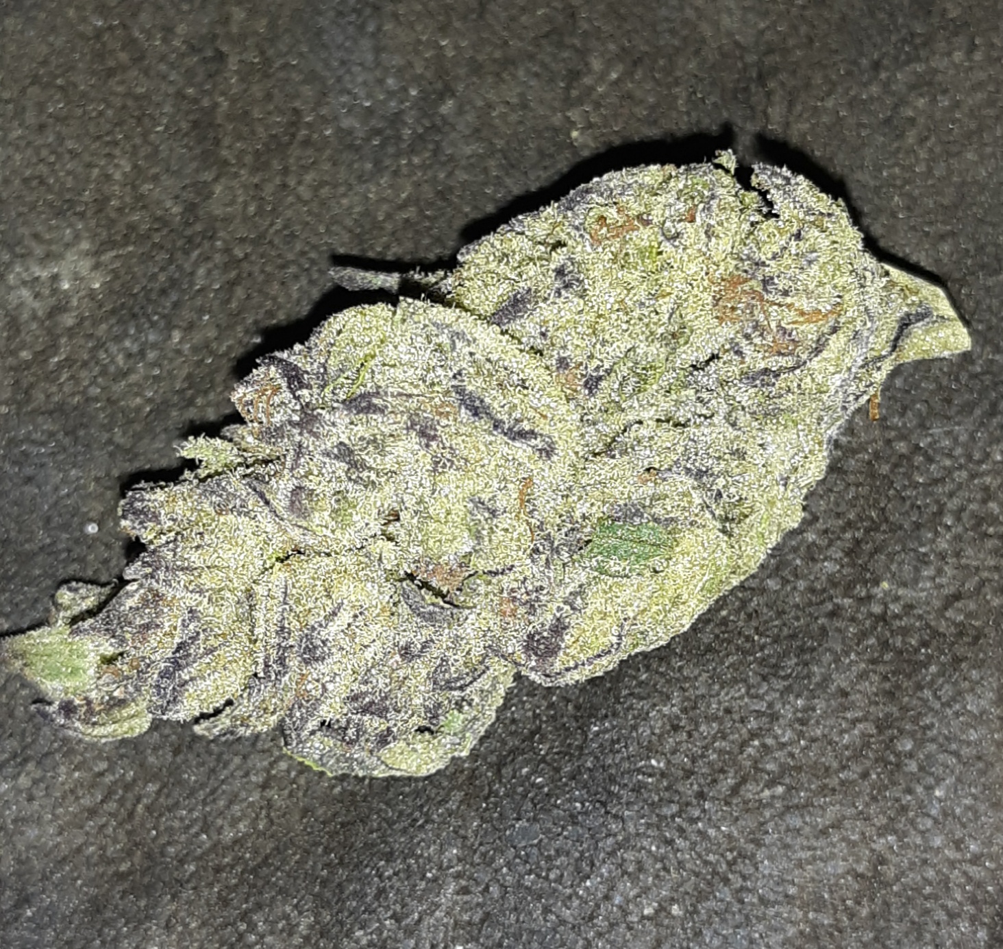 ICC Strain Allbud: A Comprehensive Guide To Cultivating And Understanding This Popular Cannabis Strain