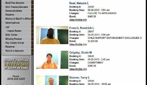 International Falls Jail Roster: Your Comprehensive Guide