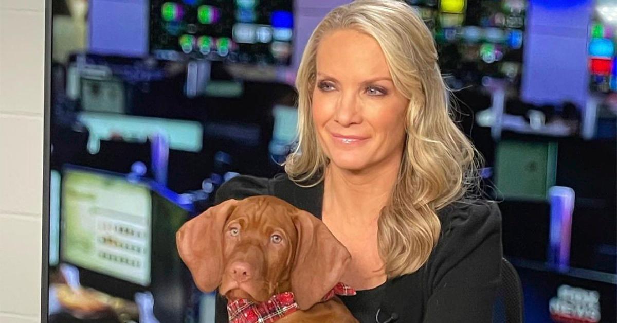 Is Dana Perino Still At Fox News?  A Look At Her Current Role