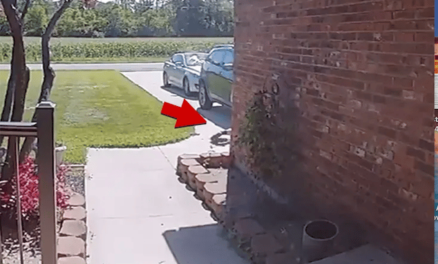 James Rayl Shooting: Unraveling The Details Of The Incident