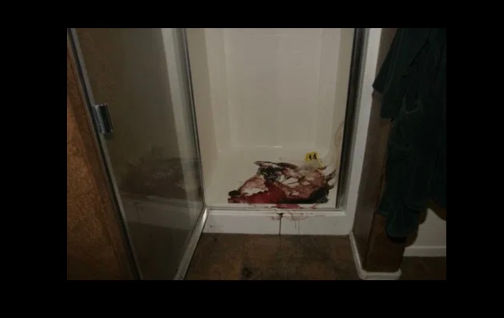 Jodi Arias Autopsy Report: Unveiling The Key Findings