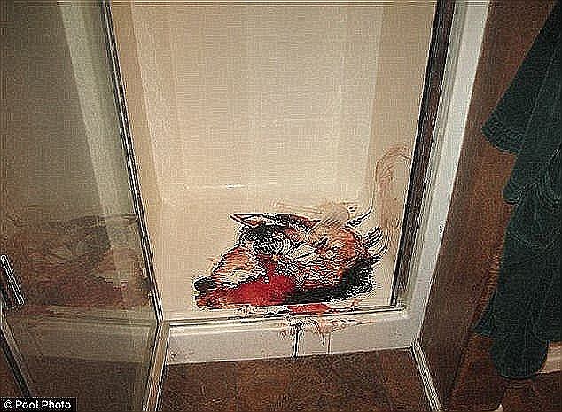 Jodi Arias Crime Scene Photos: Unveiling The Travis Alexander Case Evidence