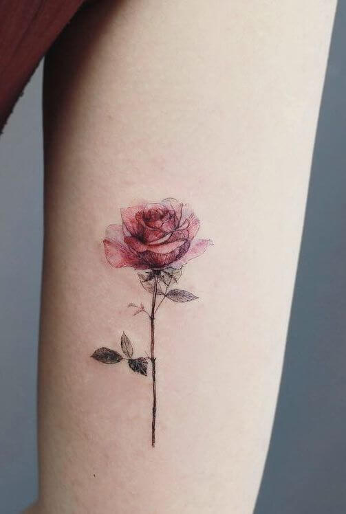 June Birth Flower Tattoos: Designs & Meaningful Ideas
