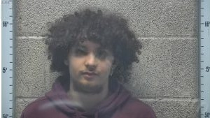 Kentucky Mugshots: Your Guide To News, Support, And Finding Information