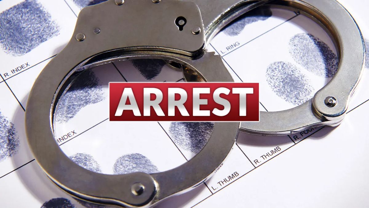Knoxville, TN Woman, Elizabeth, Arrested: Details Emerge