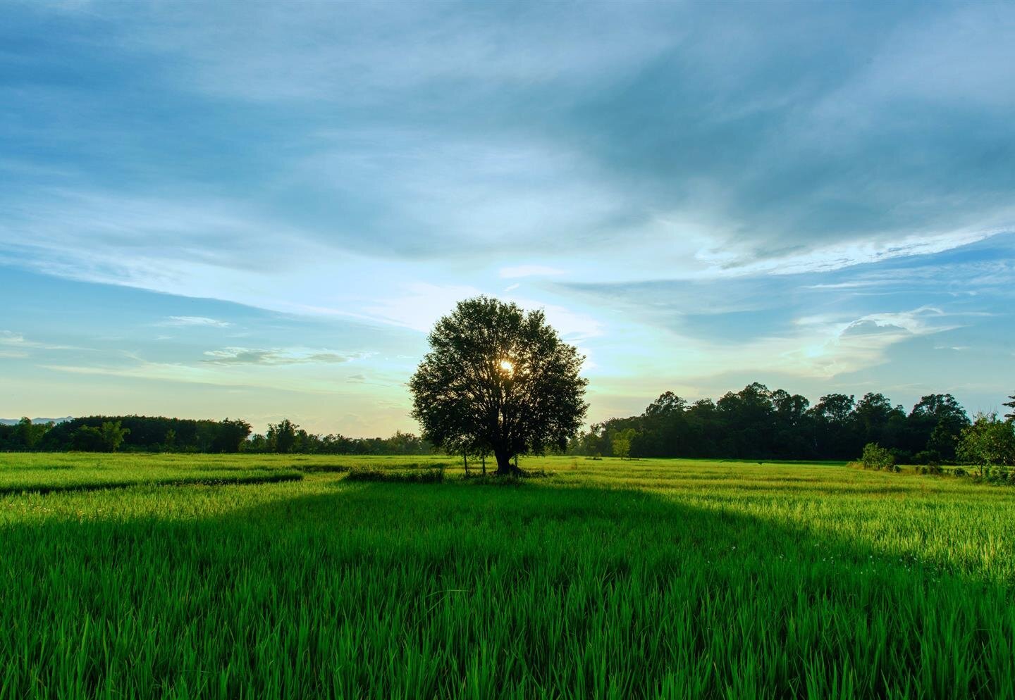 Lawlor Funeral Home Columbia IL Obituaries: A Comprehensive Guide