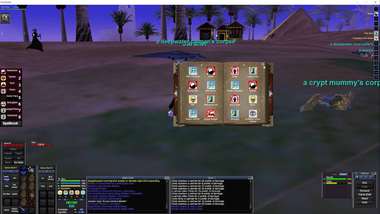 Leveling Your P99 Enchanter: A Comprehensive Guide