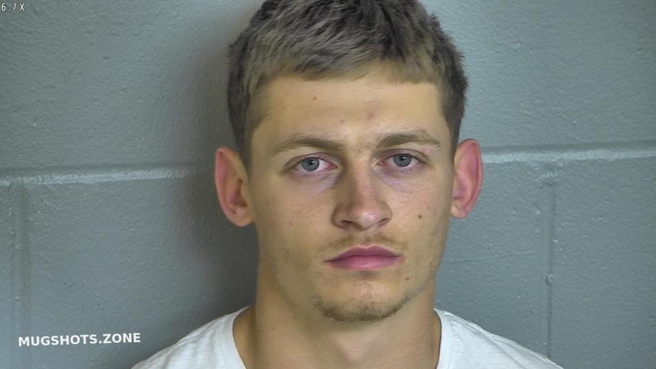 Levy County Mugshots: Your 24-Hour Access To Public Records