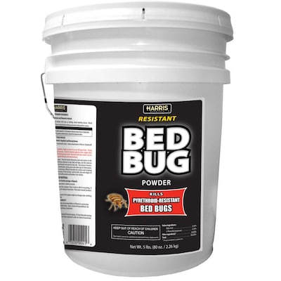 Lowes Las Vegas: Best Bed Bug & Termite Sprays For Your Home