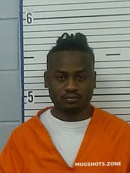 Lowndes County GA 411: Your Guide To Mugshot Information
