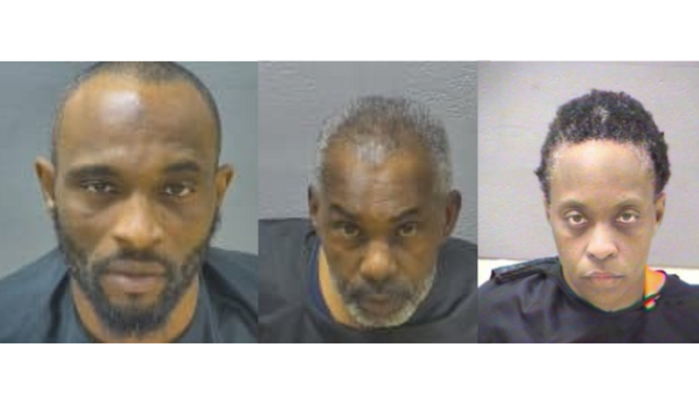 Lynchburg VA Arrests: Understanding The Orgredpit Category