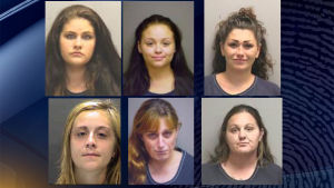 Manatee County Arrests: Florida Arrests.org's Comprehensive Report