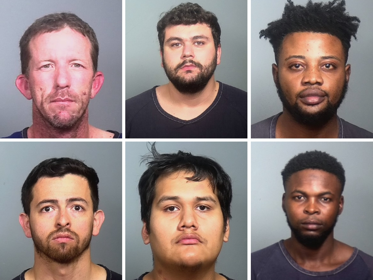 Manatee County Sheriff's Office: Detailed Arrest Library Records