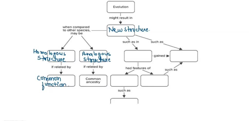 Mastering Concept Maps: Drag And Drop Activities For Enhanced Learning