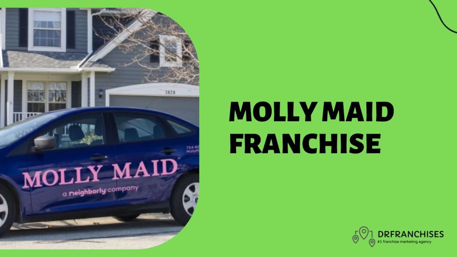 Molly Maid Hourly Rates: A Pensapedia Guide