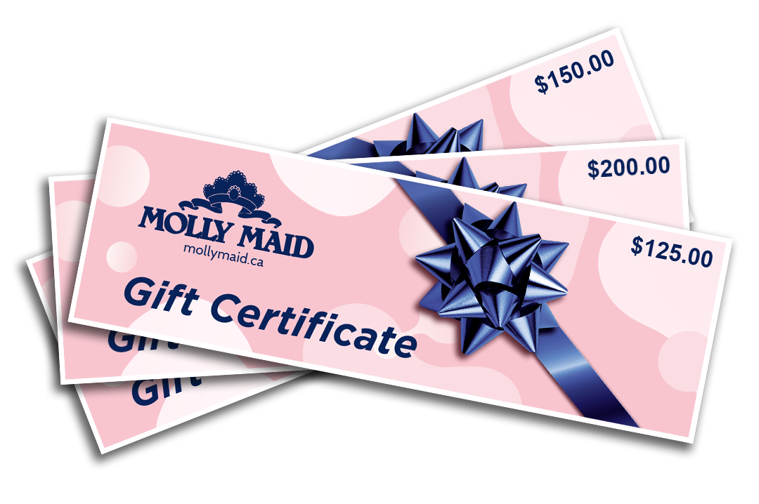 Molly Maid Hourly Rates: Comenity Cosmoprof Easy Pay Options Explored