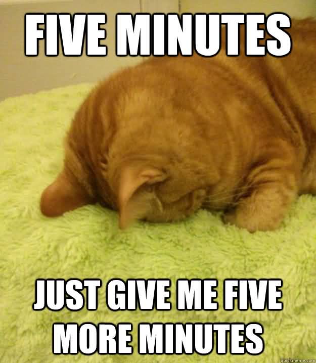 Monday Mood: The Funniest Animal Memes To Brighten Your Week
