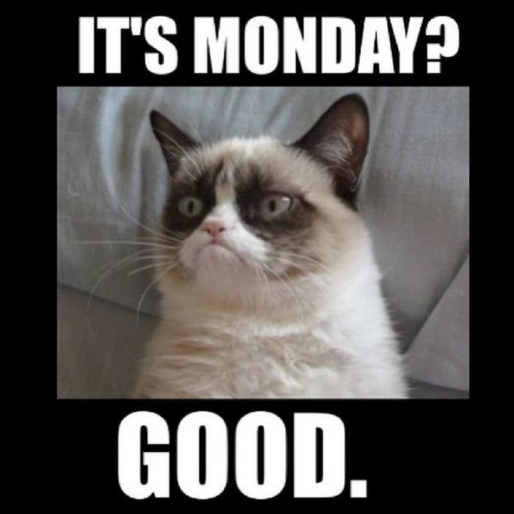 Mondayest Monday Memes: Hilarious Fails And Relatable Struggles