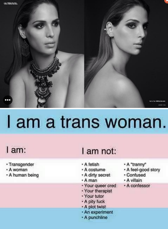 MTF Memes: A Deep Dive Into The Hilarious World Of Transgender Memes