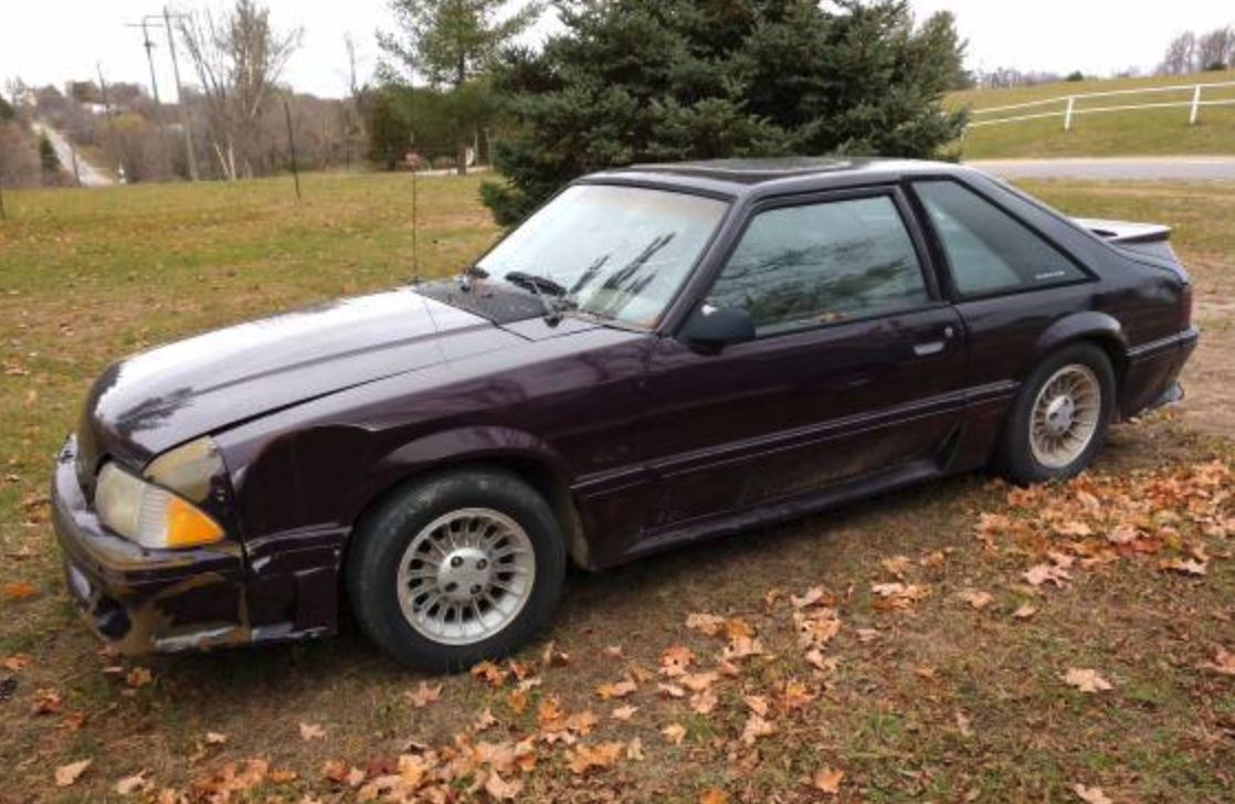 Mustang Mike Gage Lexington Craigslist: Finding Your Dream Car