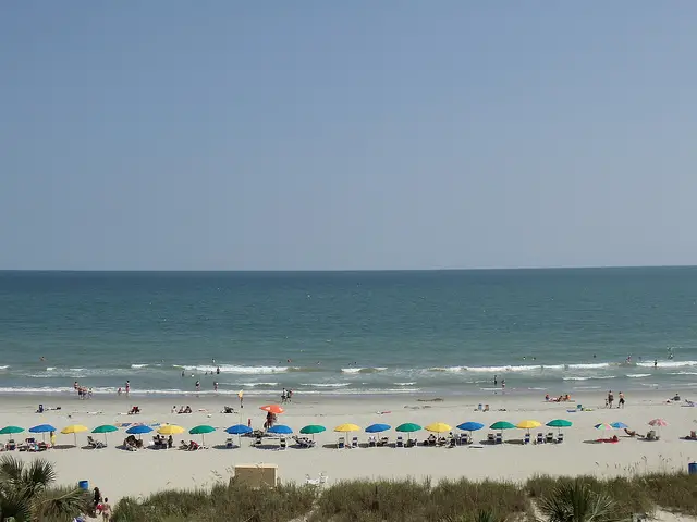 Myrtle Beach Ocean Temperature: A Month-by-Month Guide