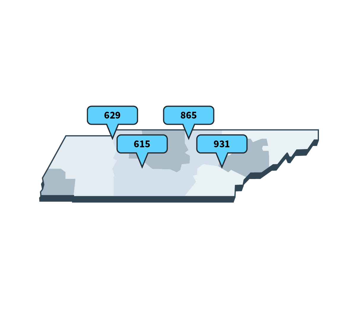 Nashville Non-Emergency Number: Your Guide To Reporting Non-Urgent Issues