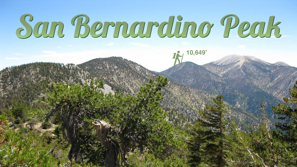 Navigating San Bernardino County Checkpoints: A Comprehensive Guide