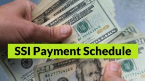 Netspend SSI Payment Schedule 2024: Stimulus Updates And Key Dates