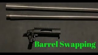 New England Firearms Barrel Swap: Speed Vs.  BW – A Comprehensive Comparison