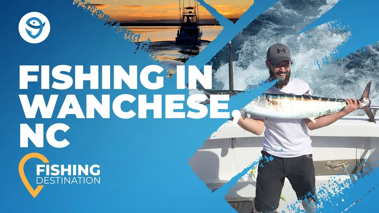 North Carolina Trout Stocking Schedule 2024: Your Complete Guide To Fishing Spots