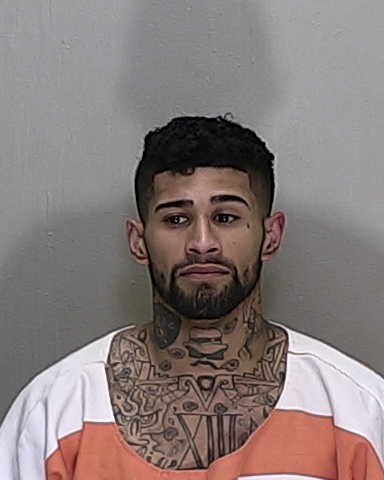 Ocala FL Mugshots: Your Guide To Public Records And Finding Information