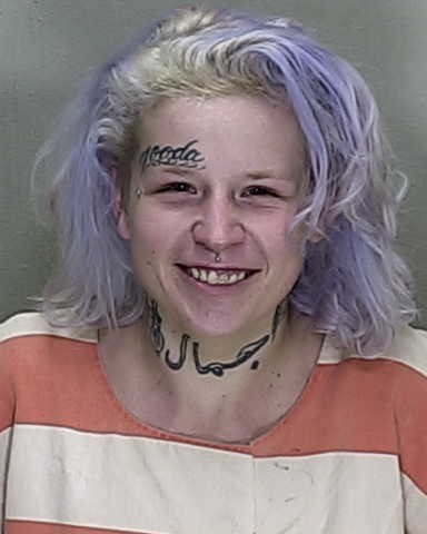 Ocala, Florida Mugshots: Marion County Inmate Records And Public Access