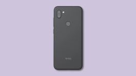 Orbic RC609L Phone: TNT Team's Ren98 Tray Review
