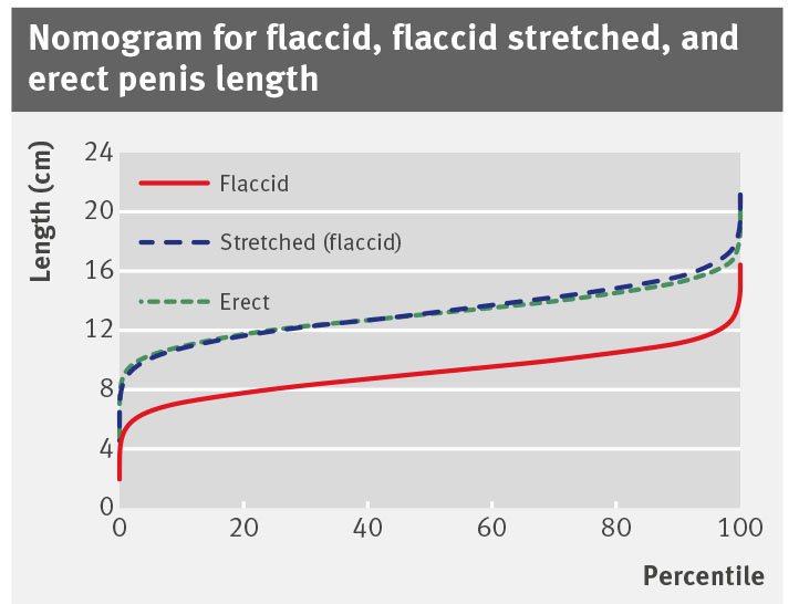 Penile Percentile Calculator: Understanding Your Size And Finding Accurate Information