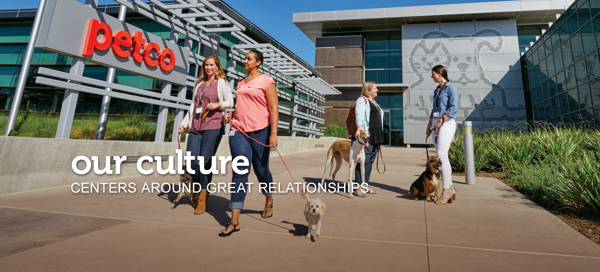 Petco Hourly Wage: What To Expect & How To Negotiate A Higher Rate