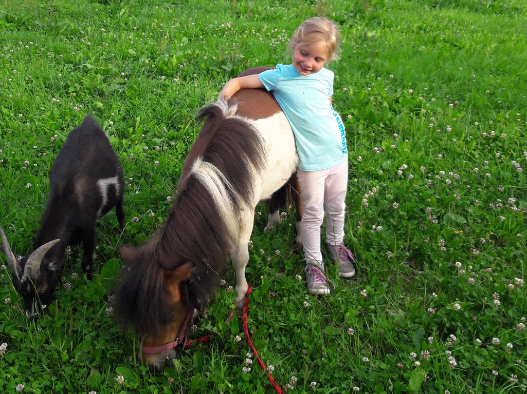 Pony Erlebnisse: Your Guide To Unforgettable Pony Adventures In Germany