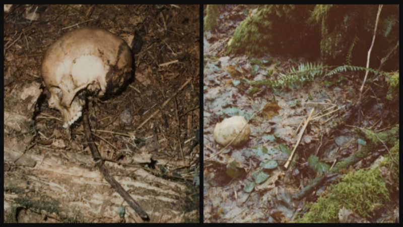 Rarely Seen Autopsy Photos Of Ted Bundy: A Grisly Look At The Infamous Killer