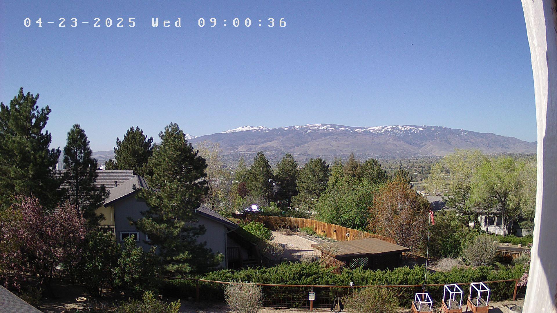 Real-Time Reno Traffic Cameras: Beat The Congestion