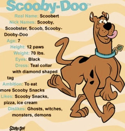 Scooby Doo Characters: A Complete Guide To Names And Profiles