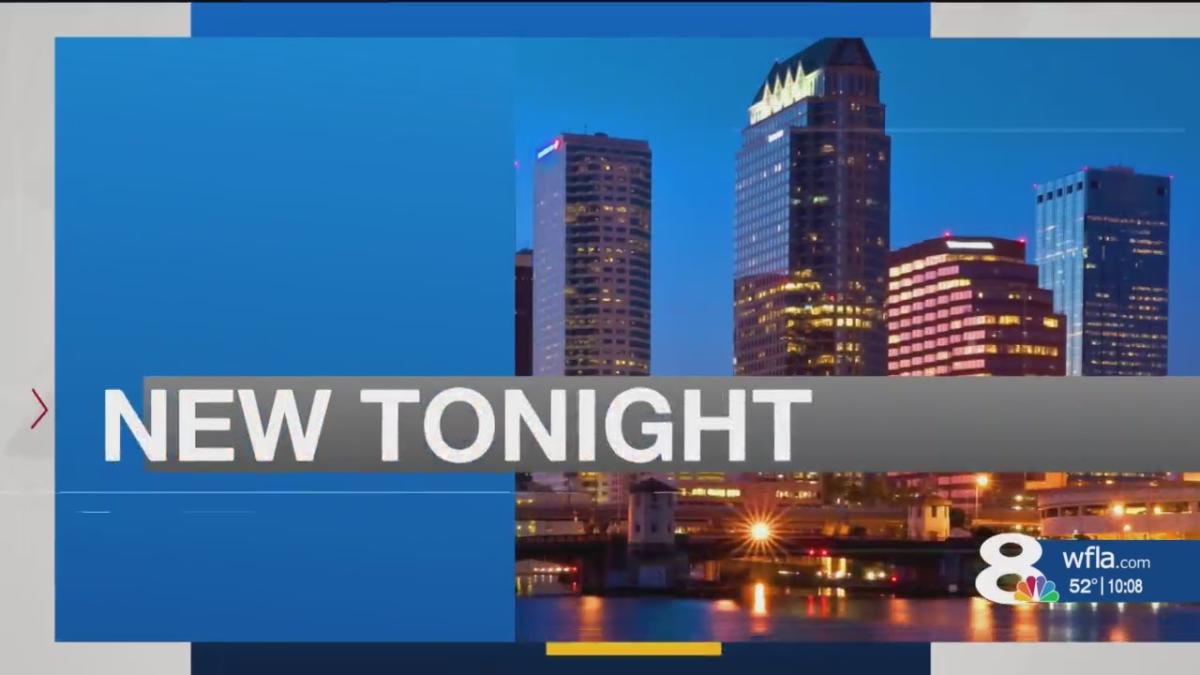 Selmira's Departure From News Channel 8 Tampa: What We Know