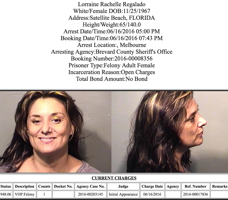 Space Coast Daily Mugshots: Your Guide To Brevard County Arrest Records