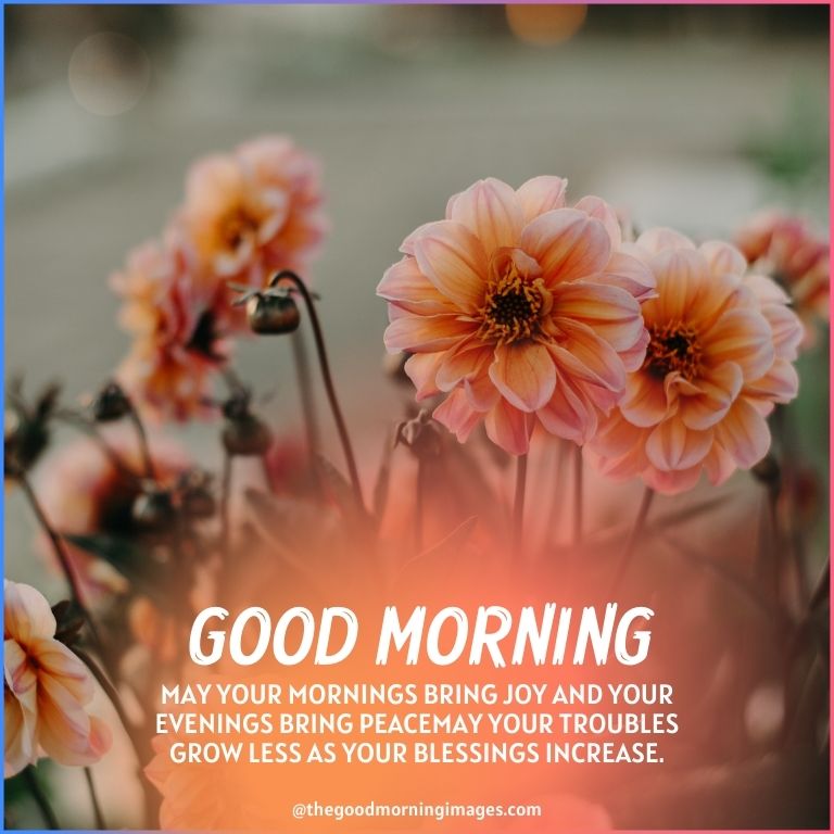Start Your Day With Warmth: Good Morning Blessings And Prayers