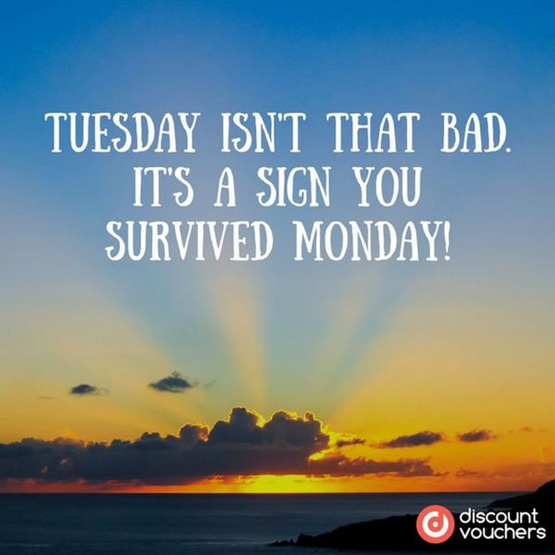 Start Your Week Right: Hilarious Tuesday Positive Memes